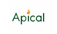 Apical